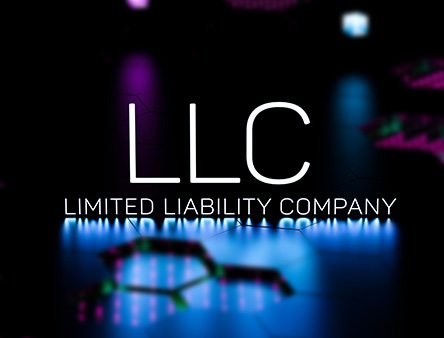 Limited Liability Companies