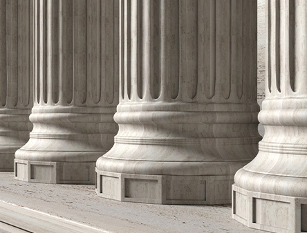Negligence Tort Litigation