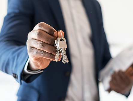 Real Estate Development and Land Use